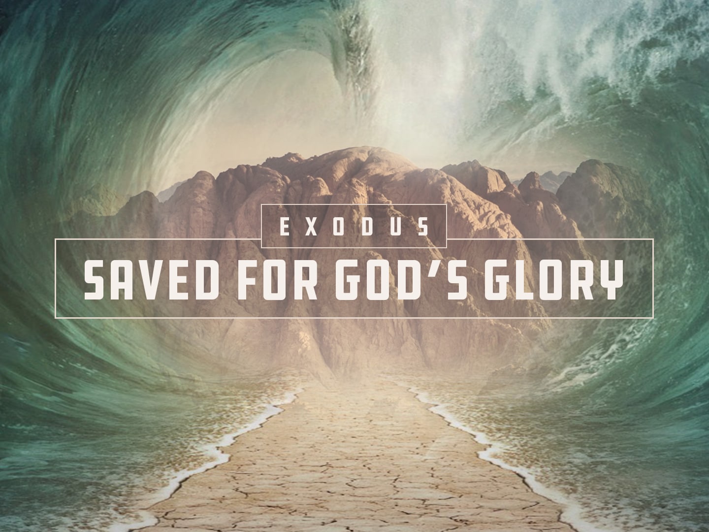 CC-2020-Exodus-Title-WEB